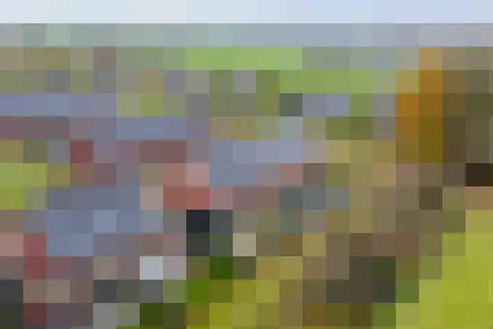 Bonenakker 18 Twello thumbnail 24