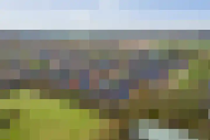 Bonenakker 18 Twello thumbnail 25