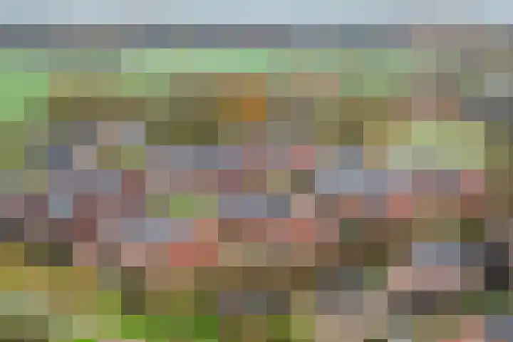 Bonenakker 18 Twello thumbnail 26