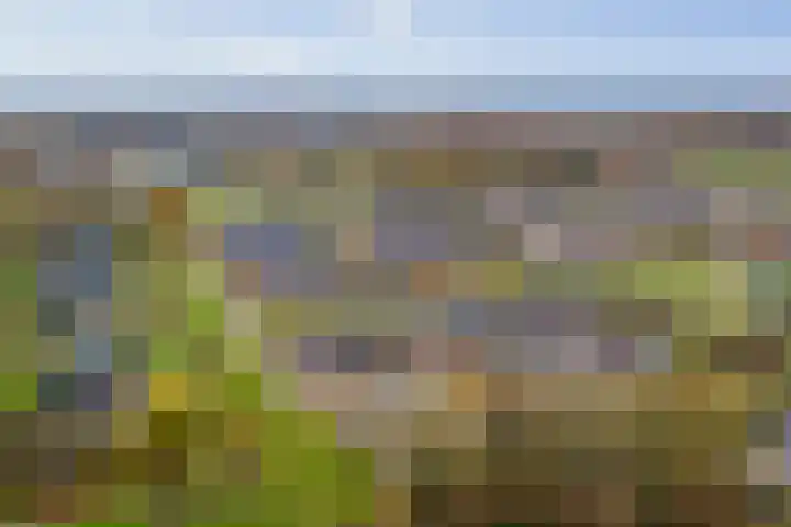 Bonenakker 18 Twello thumbnail 27