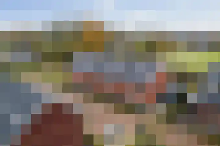 Bonenakker 18 Twello thumbnail 28