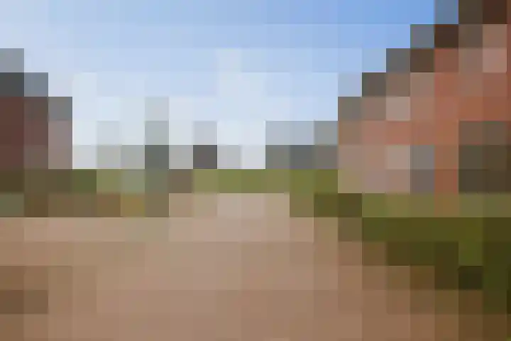 Bonenakker 18 Twello thumbnail 29