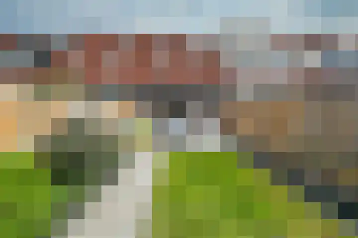Bonenakker 25 Waddinxveen thumbnail 21