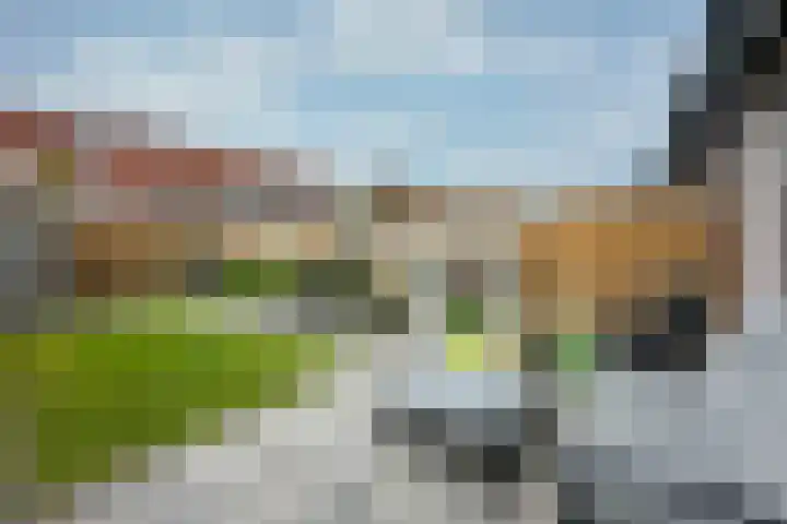 Bonenakker 25 Waddinxveen thumbnail 22
