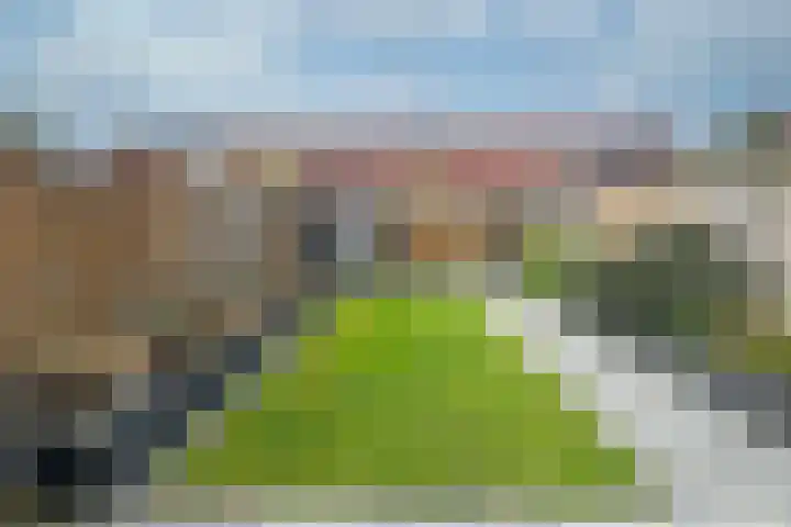 Bonenakker 25 Waddinxveen thumbnail 23