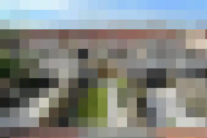 Bonenakker 25 Waddinxveen thumbnail 24