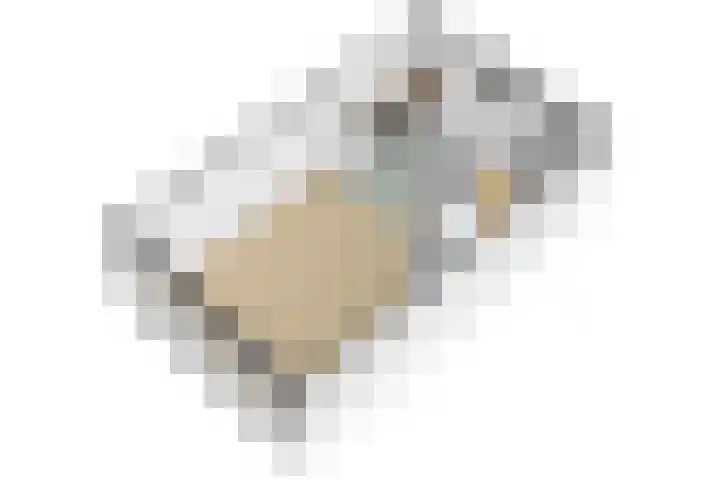 Bonenakker 25 Waddinxveen thumbnail 28
