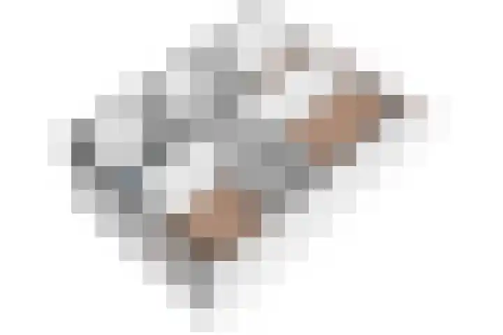 Bonenakker 25 Waddinxveen thumbnail 32
