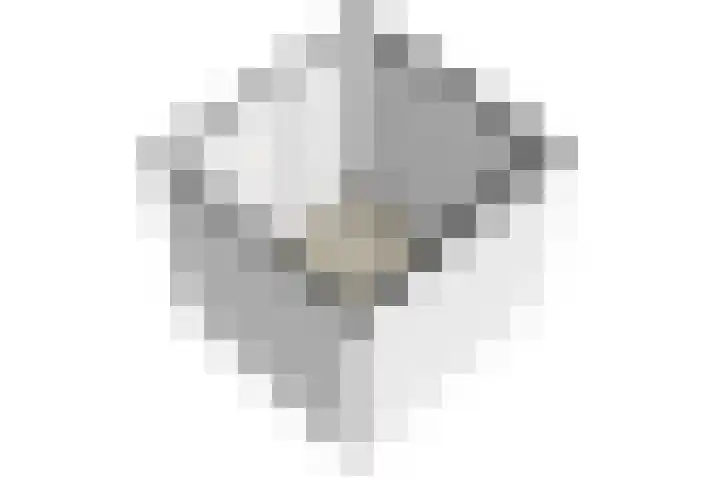 Bonenakker 25 Waddinxveen thumbnail 37