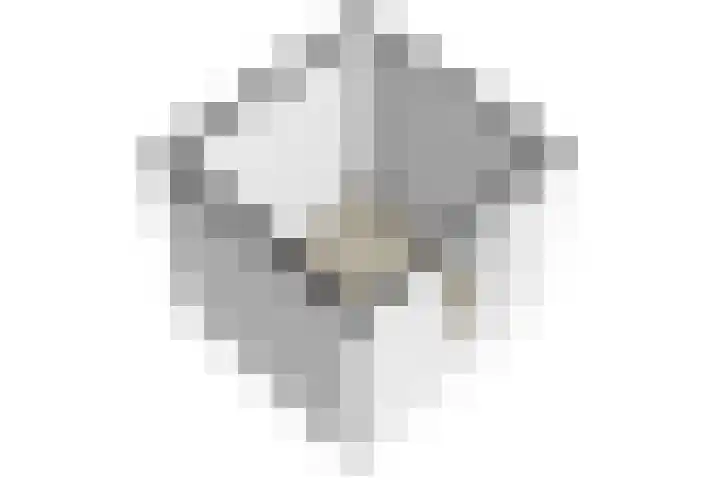 Bonenakker 25 Waddinxveen thumbnail 38