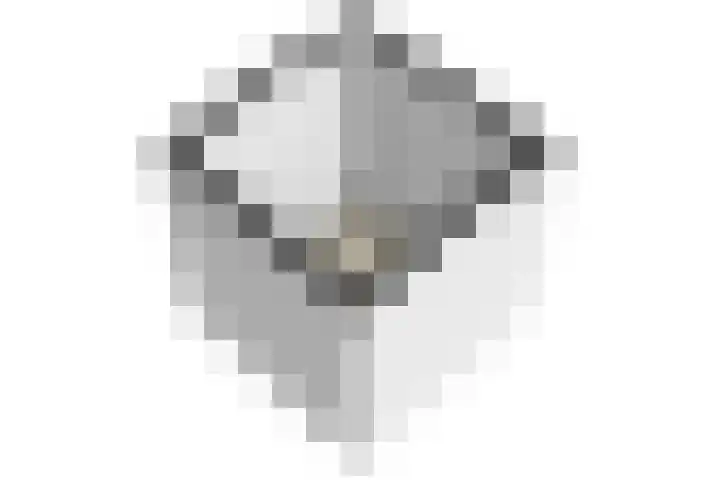 Bonenakker 25 Waddinxveen thumbnail 40