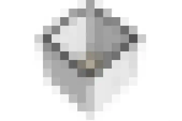 Bonenakker 25 Waddinxveen thumbnail 41