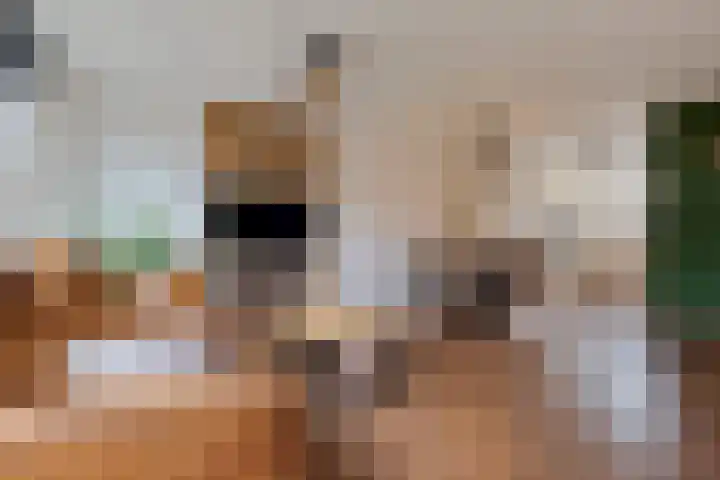 Bonenakker 25 Waddinxveen thumbnail 8