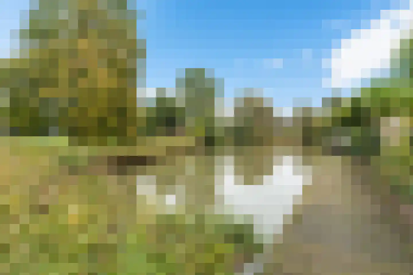 Bonenakker 3 Delfzijl thumbnail 19