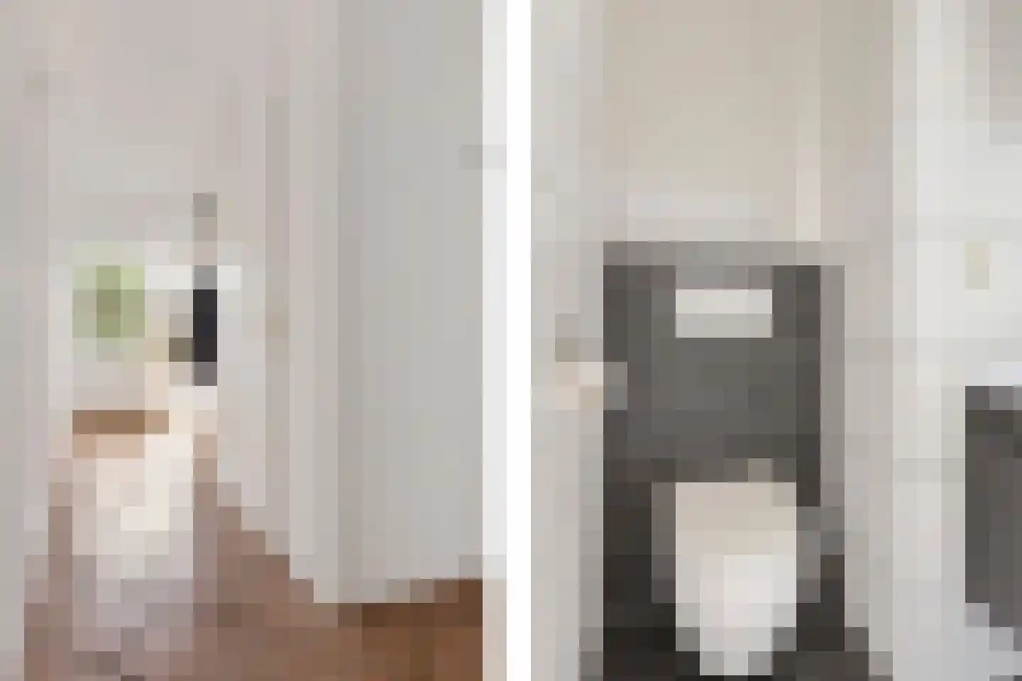 Bonenakker 3 Delfzijl thumbnail 22