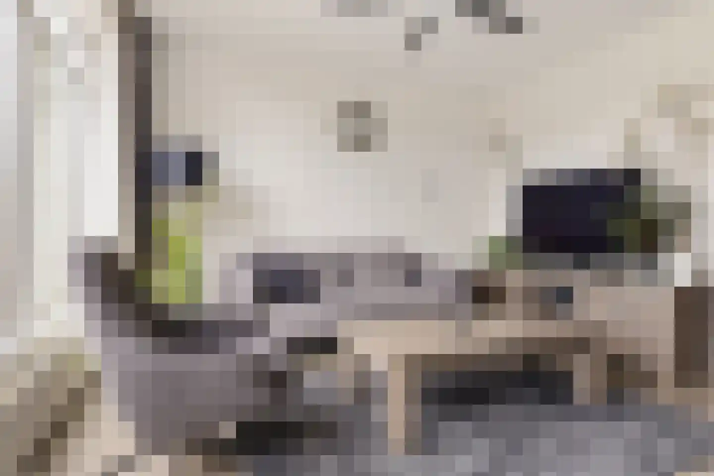 Bonenakker 3 Delfzijl thumbnail 28