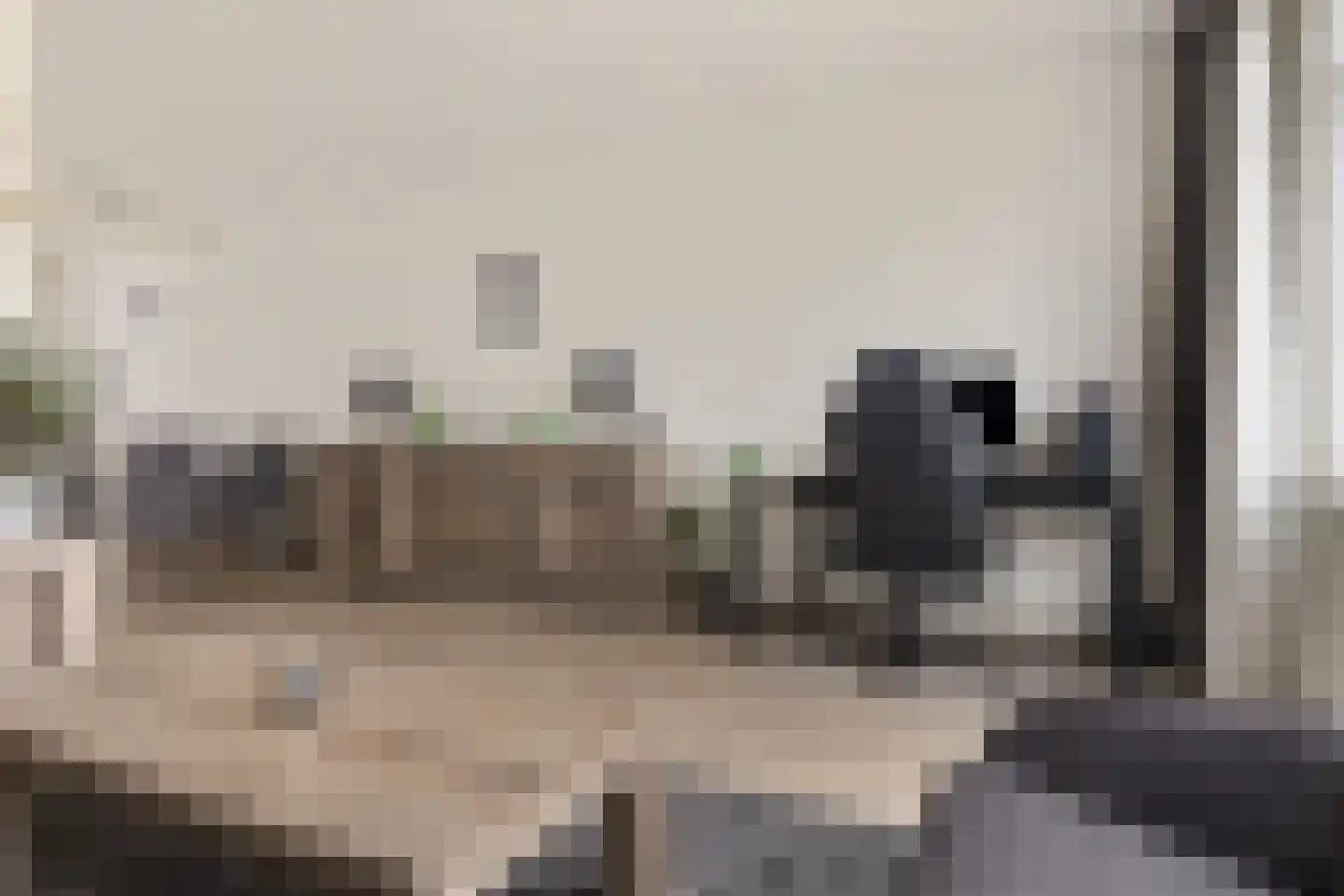 Bonenakker 3 Delfzijl thumbnail 29
