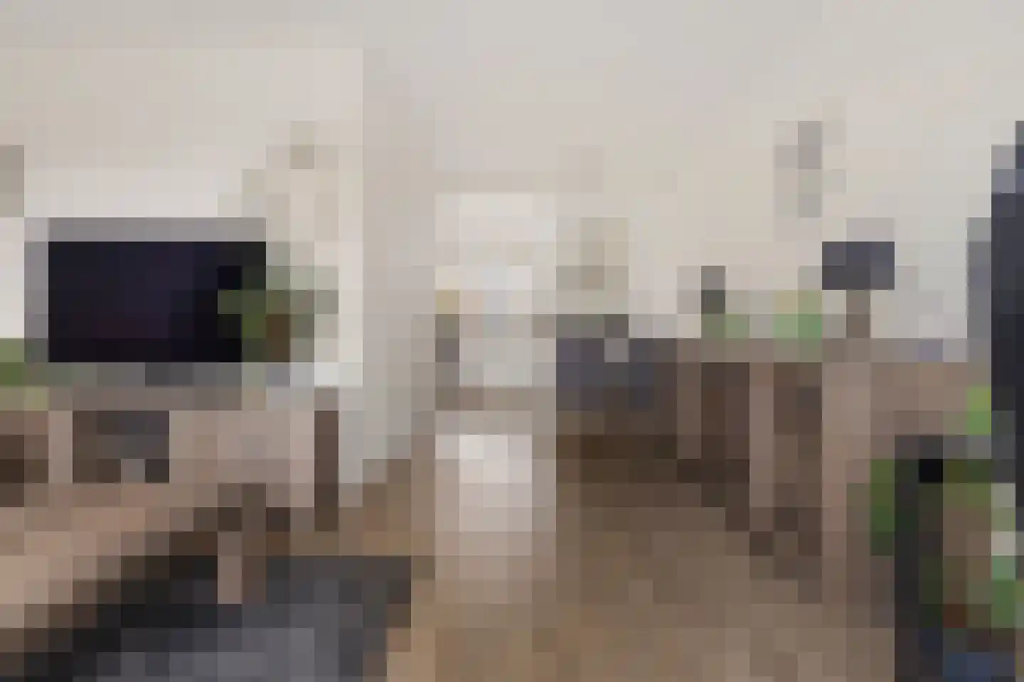 Bonenakker 3 Delfzijl thumbnail 30