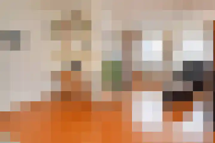Bonenakker 38 Waddinxveen thumbnail 12