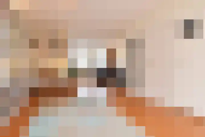 Bonenakker 38 Waddinxveen thumbnail 14