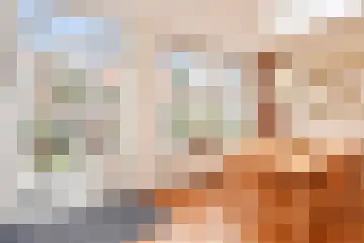 Bonenakker 38 Waddinxveen thumbnail 23