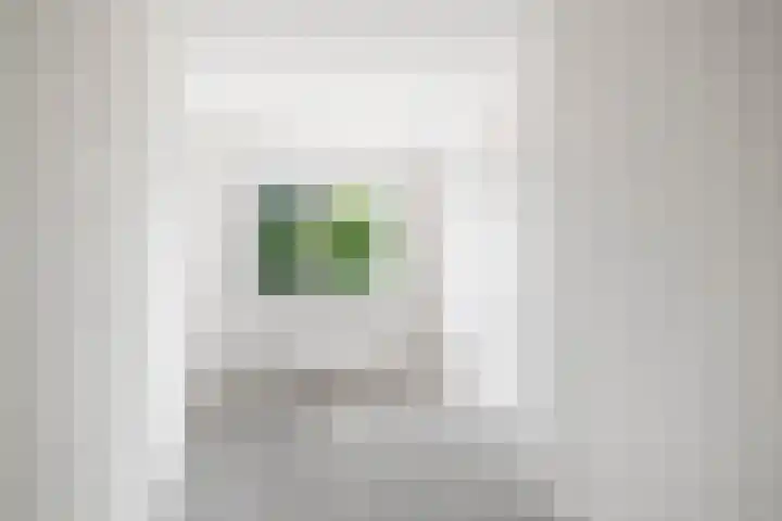 Bonenakker 4 Twello thumbnail 13