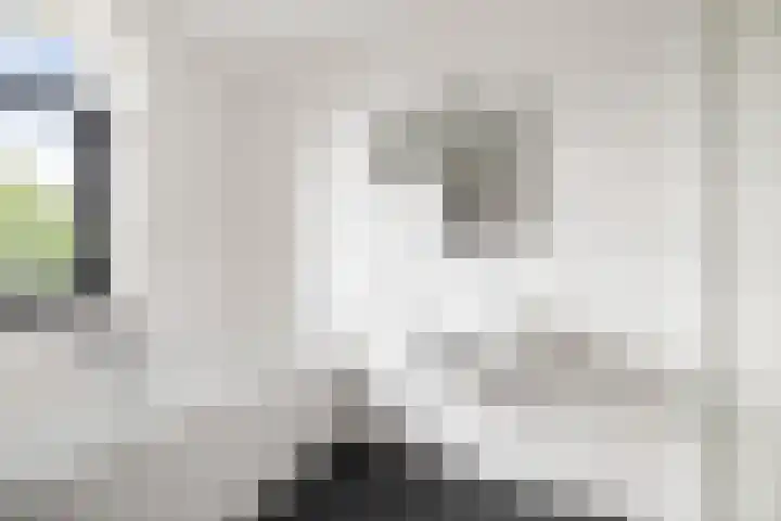Bonenakker 4 Twello thumbnail 17