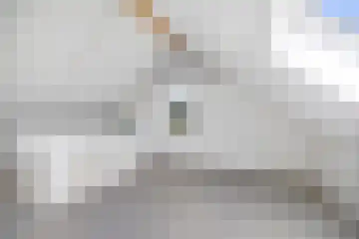 Bonenakker 4 Twello thumbnail 18