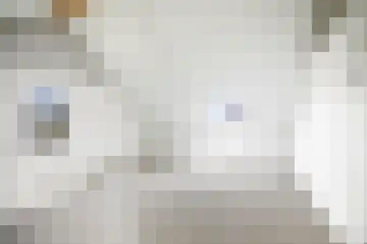 Bonenakker 4 Twello thumbnail 19
