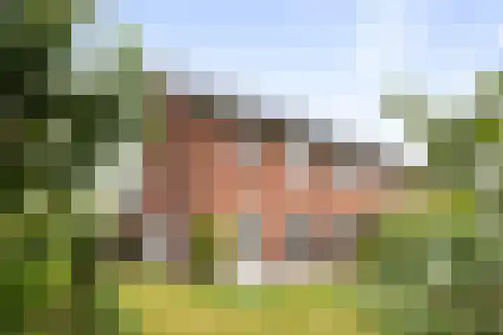 Bonenakker 4 Twello thumbnail 21
