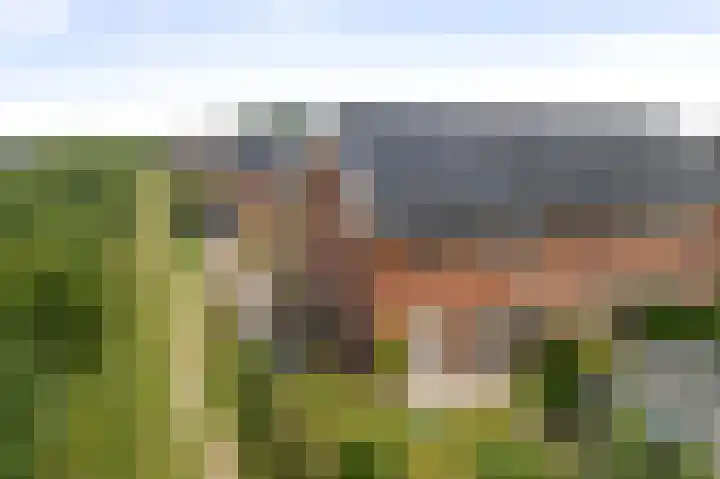 Bonenakker 4 Twello thumbnail 22
