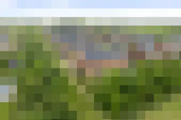 Bonenakker 4 Twello thumbnail 23