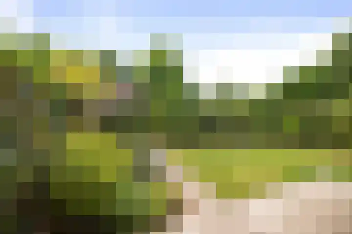 Bonenakker 4 Twello thumbnail 25