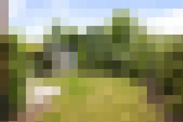 Bonenakker 4 Twello thumbnail 26