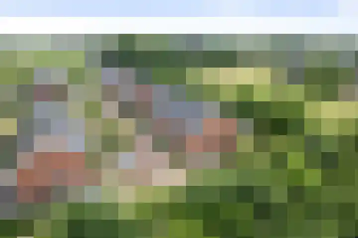 Bonenakker 4 Twello thumbnail 28