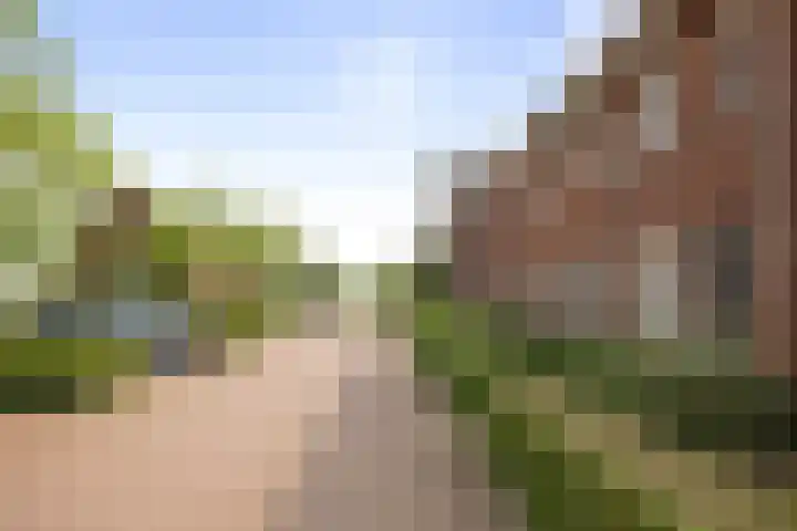 Bonenakker 4 Twello thumbnail 29