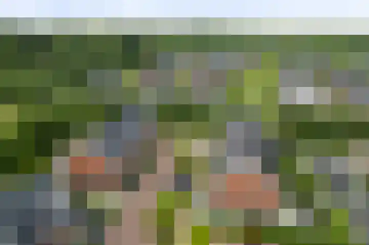 Bonenakker 4 Twello thumbnail 30
