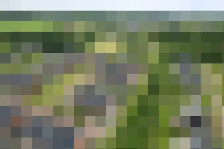 Bonenakker 4 Twello thumbnail 31
