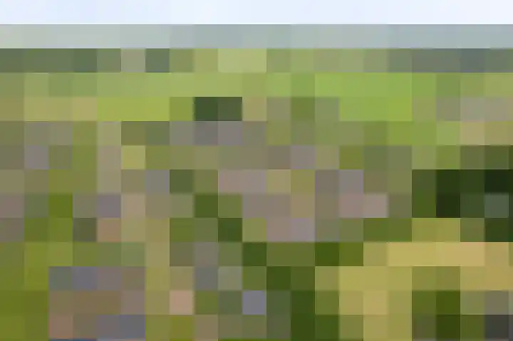 Bonenakker 4 Twello thumbnail 32