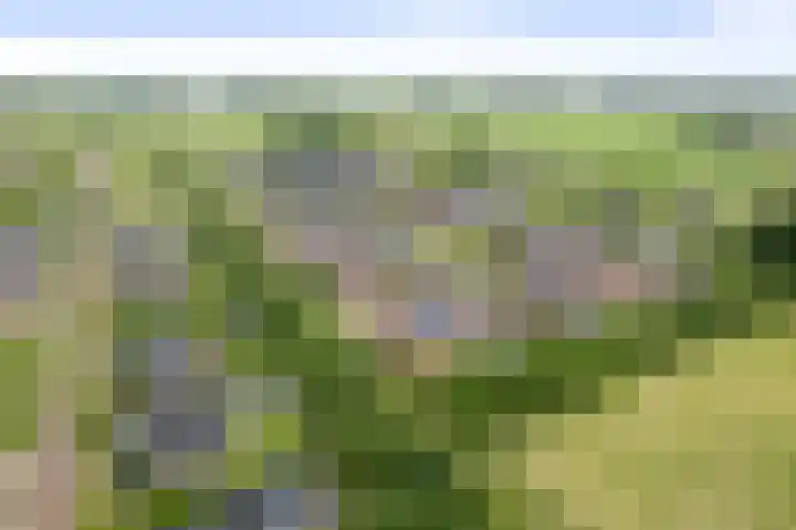 Bonenakker 4 Twello thumbnail 33