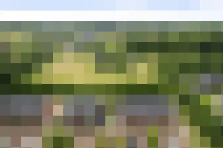 Bonenakker 4 Twello thumbnail 34