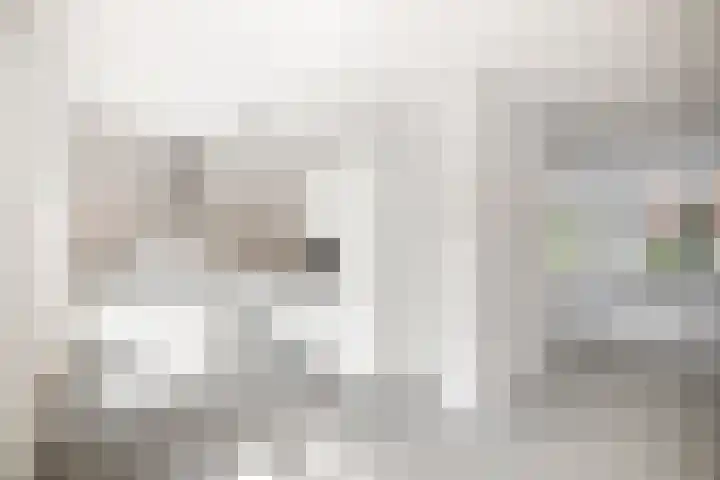 Bonenakker 4 Twello thumbnail 8