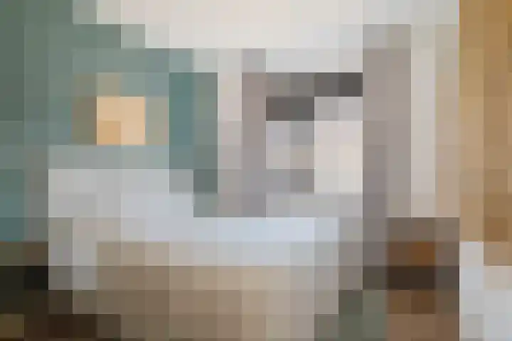 Bonenakker 42 Twello thumbnail 12