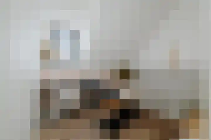 Bonenakker 42 Twello thumbnail 20