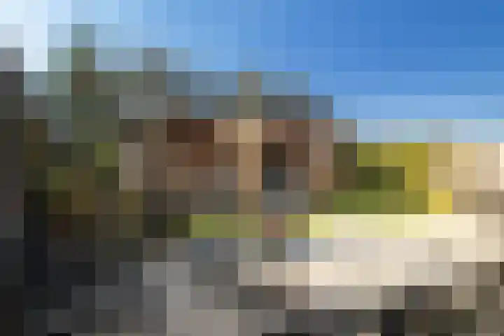 Bonenakker 42 Twello thumbnail 22