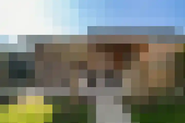 Bonenakker 42 Twello thumbnail 24