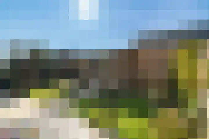 Bonenakker 42 Twello thumbnail 25