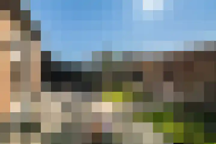Bonenakker 42 Twello thumbnail 28