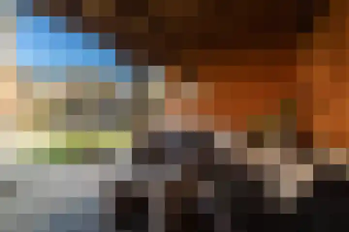 Bonenakker 42 Twello thumbnail 29
