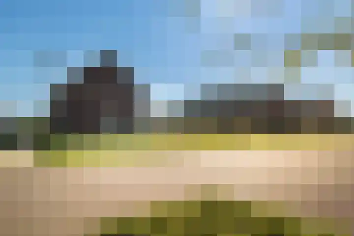 Bonenakker 42 Twello thumbnail 35